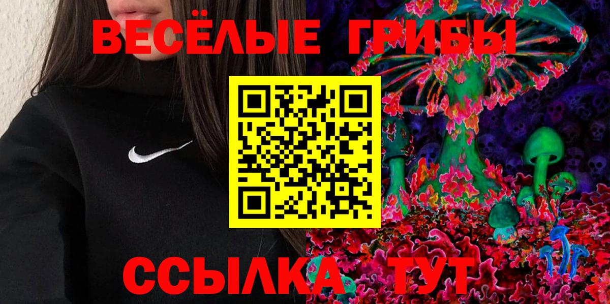 Псилоцибиновые грибы Psilocybine cubensis Благодарный