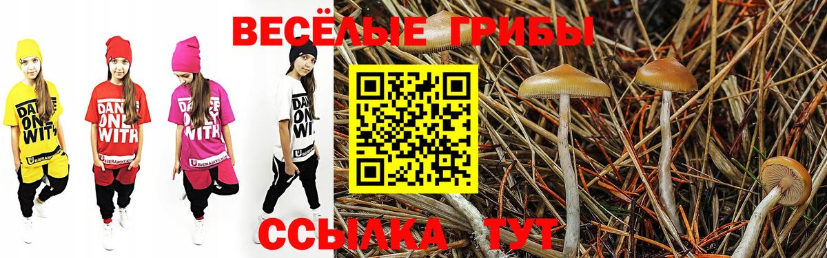 Псилоцибиновые грибы MAGIC MUSHROOMS  Вход с VPN  Галлюциногенные грибы прущие грибы  Благодарный 